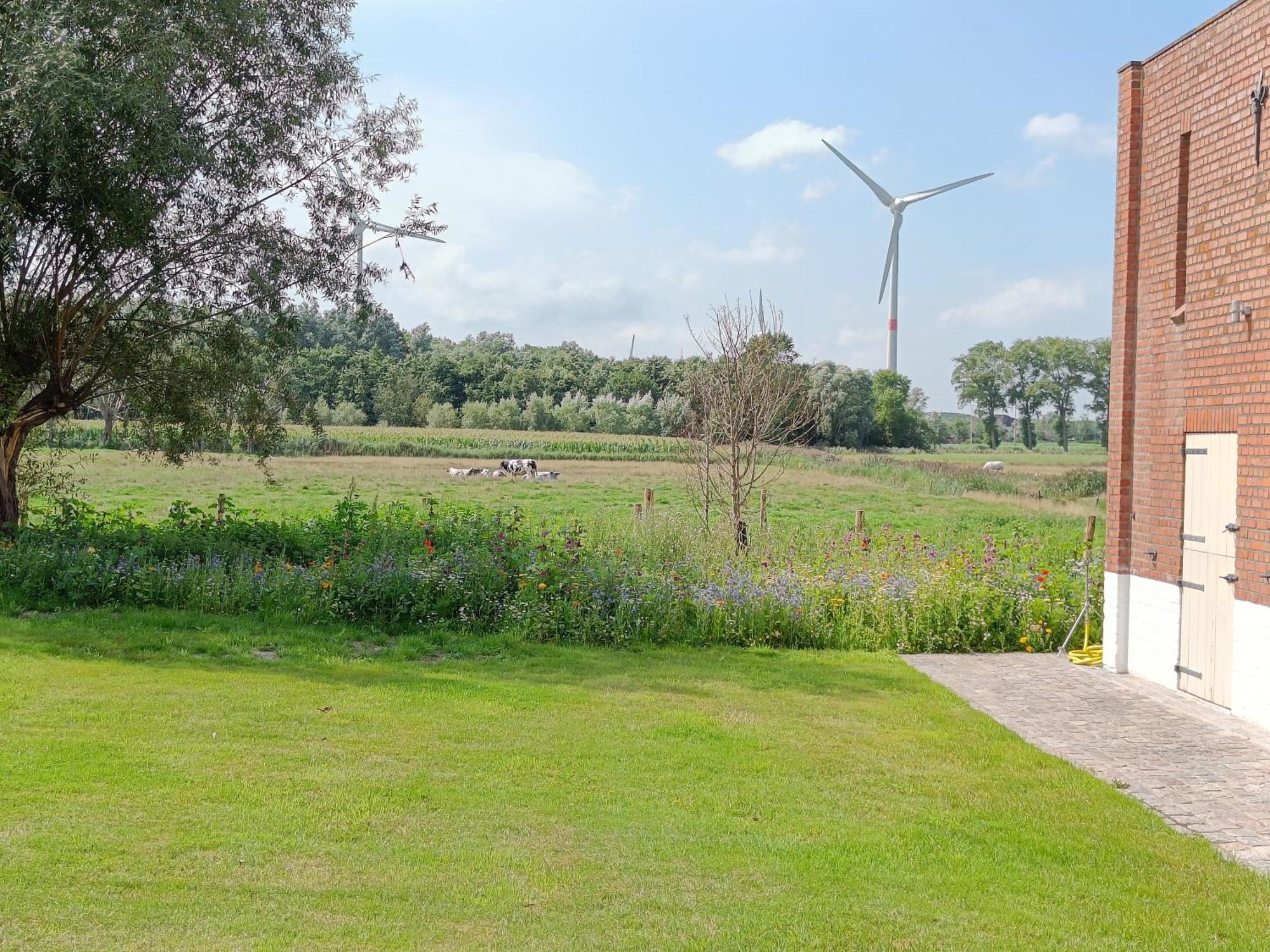 Beautiful 3-Bedroom - 3-Bathroom Appartment Pendula Brugge Buitenkant foto